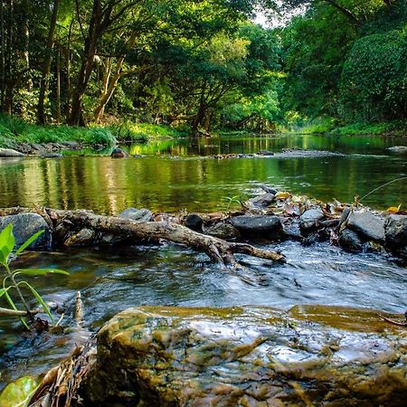 Cairns Homestead Redlynch Pet And Family Friendly Buitenkant foto