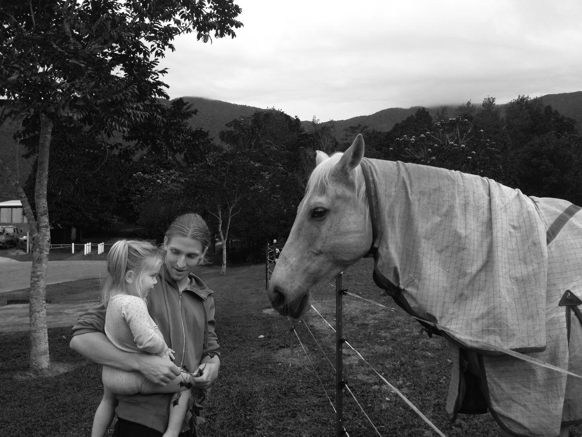 Cairns Homestead Redlynch Pet And Family Friendly Buitenkant foto