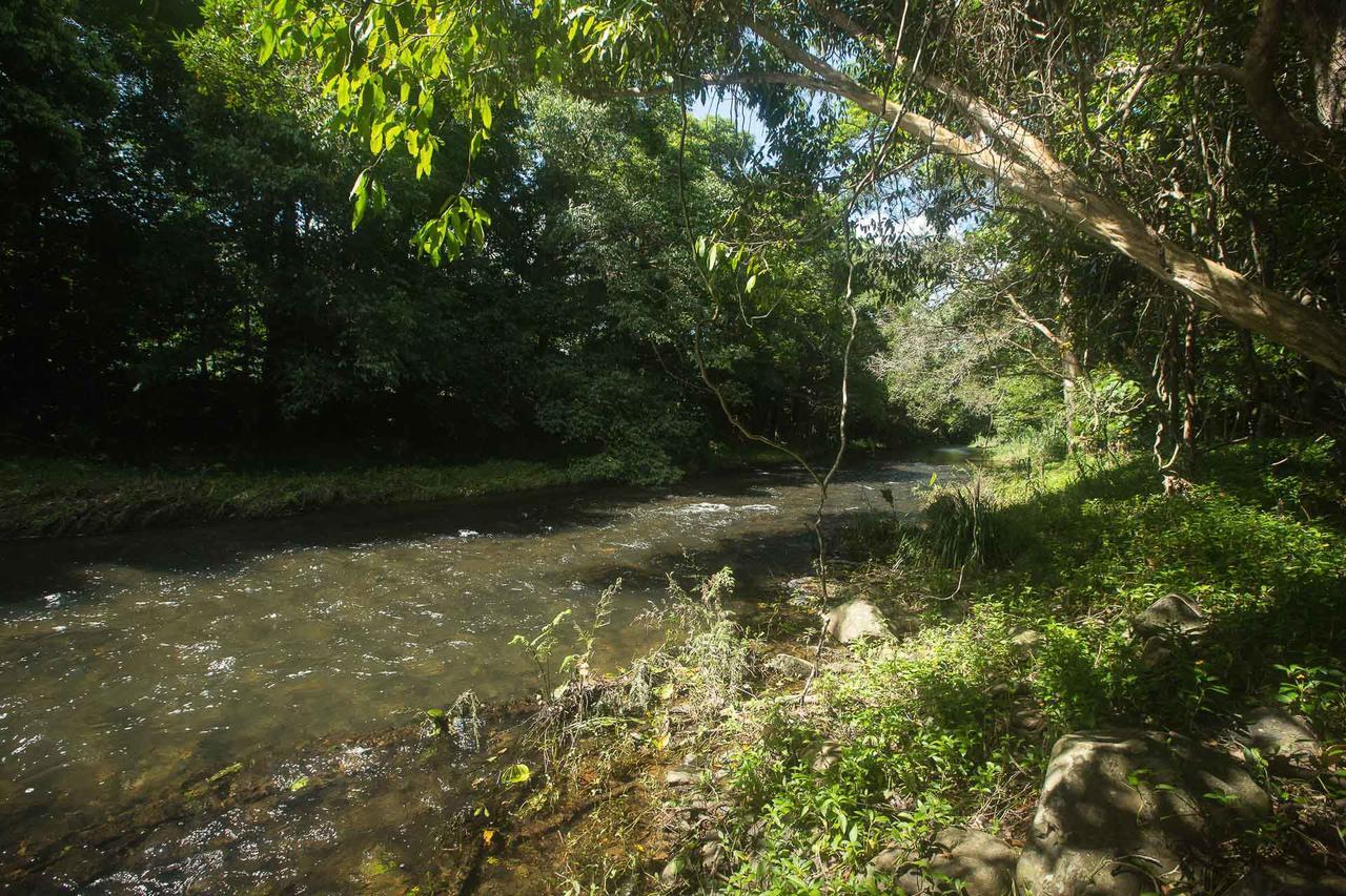 Cairns Homestead Redlynch Pet And Family Friendly Buitenkant foto