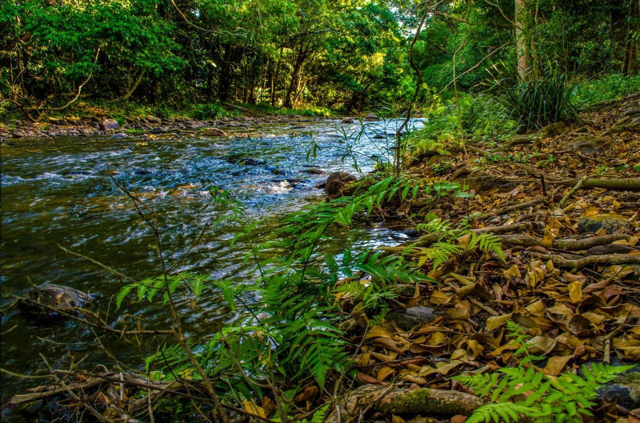 Cairns Homestead Redlynch Pet And Family Friendly Buitenkant foto