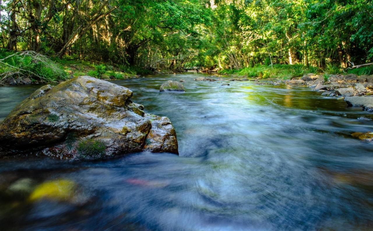 Cairns Homestead Redlynch Pet And Family Friendly Buitenkant foto