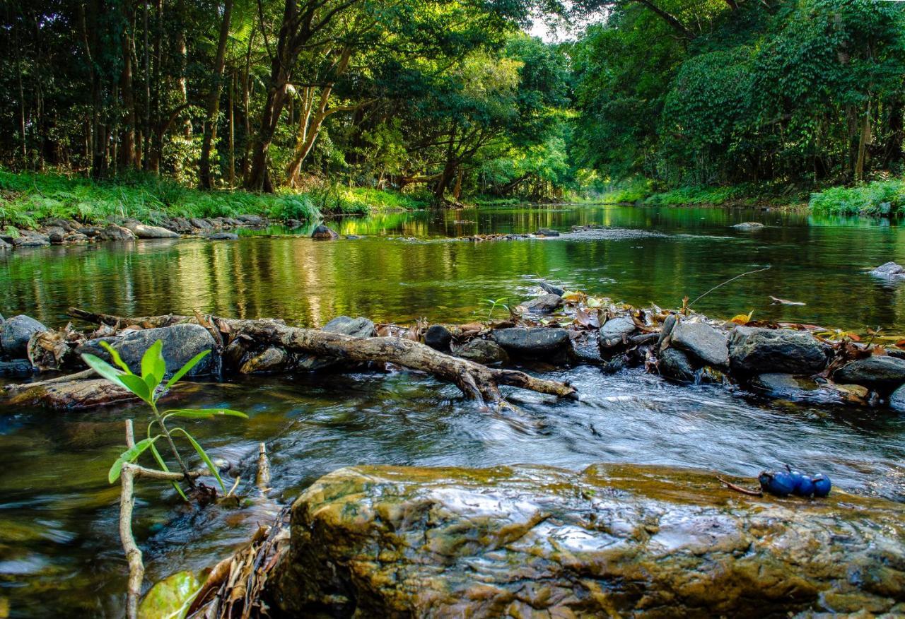 Cairns Homestead Redlynch Pet And Family Friendly Buitenkant foto